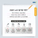 코넬
