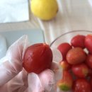 부산청과중도매인46번 | [day+23]신청할까 말까 고민한 토마토바질 청 만들기 클래스🍅 with 밭으로 나란히