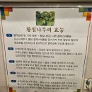 제주황칠곰탕 | 여름철 최고의 보양식 세종 염소탕 맛집 용포맛집 방문 솔직후기