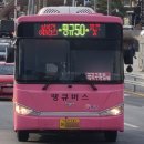 내도바당 이미지