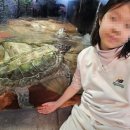 다누리 | '다누리 아쿠아리움(충북 단양)' 방문 후기