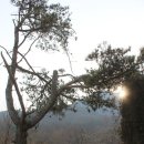 순지농장 이미지