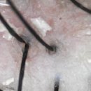 신이환경 이미지