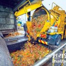 색달동-9 이미지