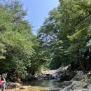 큰소나무민박 이미지