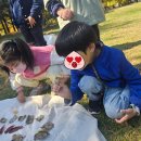 고양시립놀이숲어린이집