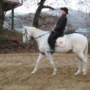 카우보이 이미지