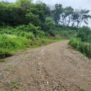 화순공인중개사사무소 이미지