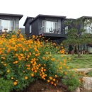 JNJ빌리지 이미지