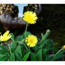 삽재농장 이미지