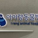 아이랑 동물병원 이미지