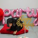 도기키친 프롬제주 이미지