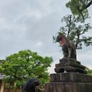 11590-128 | 👩‍🦰👩엄마랑 4박5일 교토 &amp;오사카 일본여행 🇯🇵 (3) / 오멘, 은각사, 철학의 길, 후시미이나리신사, 스시타카