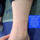 정관제일의원 이미지