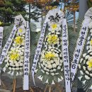 성남시청앞 인도 이미지