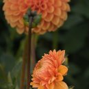 학성골프연습장 이미지