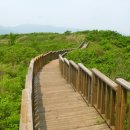 소사목장 이미지