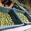 만선농장 이미지