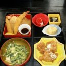 돌고래농장 이미지