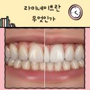 강남심미치과보철과치과의원 이미지