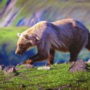 열린사랑의원 이미지