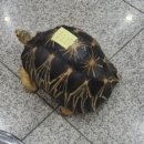 땅끝해양자연사박물관 이미지