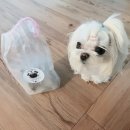 망치네식탁 이미지