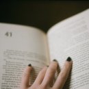 반다요가 이미지