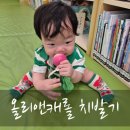 치발기계 에르메스라는 올리앤캐롤 구매후기 +3개월 사용 후기(5~8개월 아기)