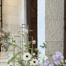 지호축사 이미지