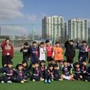 삼손태권도예절관 이미지