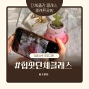 희성농장 | [팔레트공방] 동대문구청 마음치유 힐링 원데이클래스 프로그램 단체클래스