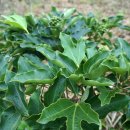 정병석농장 이미지