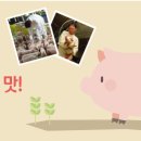 모래틈농장 네이버블로그