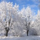 하이매쓰수학학원 이미지