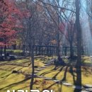 상림돼지국밥 이미지