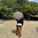 텔렘 | TELLEM 텔렘 블랙 남자들도 필요해진 블랙 우양산 추천!