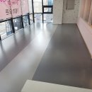 핑크강아지 이미지