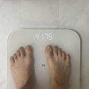 47이끌의원 | 41kg 노력형 뼈말라의 다이어트 일상 / 유지약 회식약 다이어트약 복용법 / 설 대비 유지약