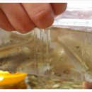 곰사냥을떠나자펜션 이미지