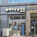 백마동물병원 이미지