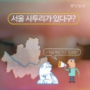 서울사투리가 있다구?(feat.이효리,김민희) 이미지