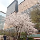 블루보틀커피코리아 광화문 | 광화문 카페 블루보틀 초콜릿 우유, 말차 라떼 후기