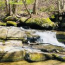 스테이 미 이미지