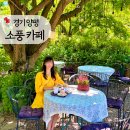 경기도 양평군 양동초등학교 | 경기 양평 두물머리 카페 소풍 아기랑 내돈내산, 야외 정원이 예쁜 서울 근교 아이랑 피크닉 추천