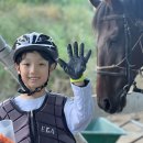 울산EDA승마장 이미지