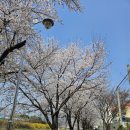 신미방 마라탕 이미지