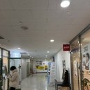 오늘은즉떡3호점 | 오늘은 즉떡 : 여의도 즉석 떡볶이 맛집 허니버터갈릭감자튀김 야끼만두