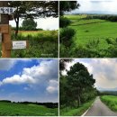 채열농장 이미지