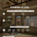 바라봄 | 부산 해운대 달맞이길 요가더바라봄 임산부요가 산전요가클래스 후기